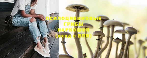 твердый Приозерск