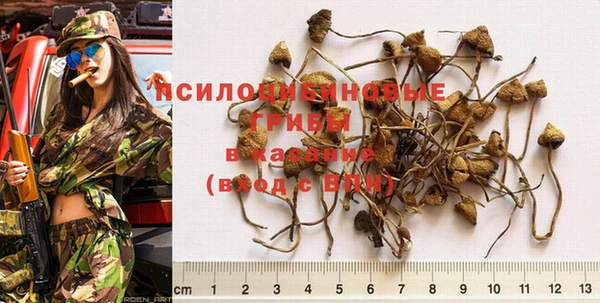 твердый Приозерск