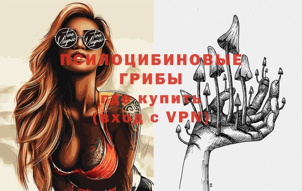 твердый Приозерск