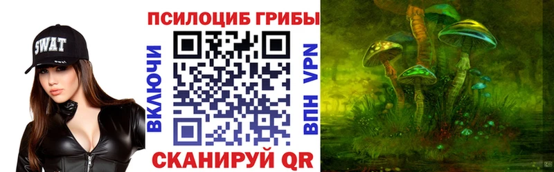 Псилоцибиновые грибы ЛСД  закладка  Сегежа 
