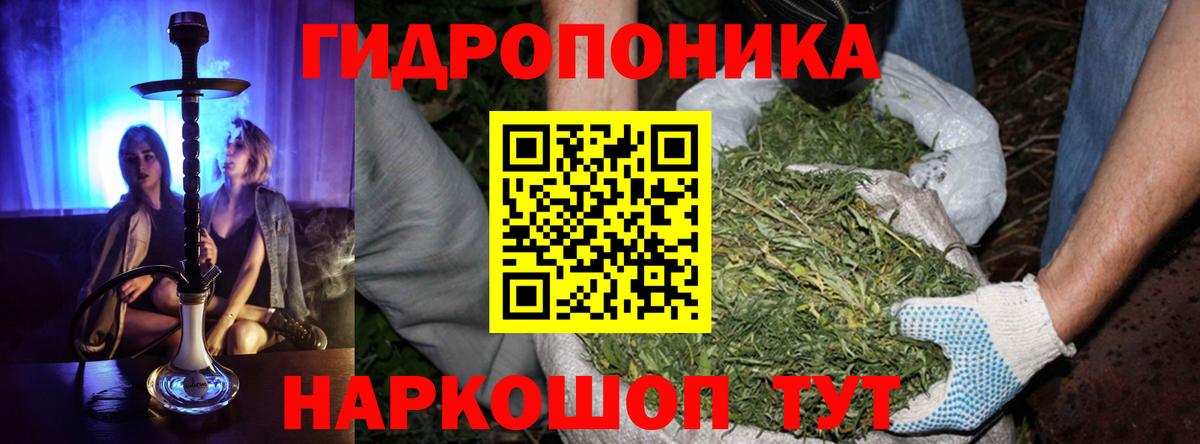 ГАШ Сегежа