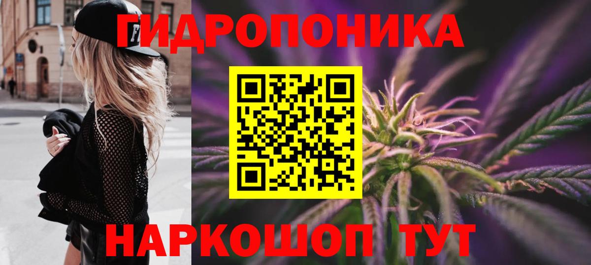Конопля индика  Вход с VPN  Сегежа  Бошки марихуана Bruce Banner  Бошки Шишки VHQ 